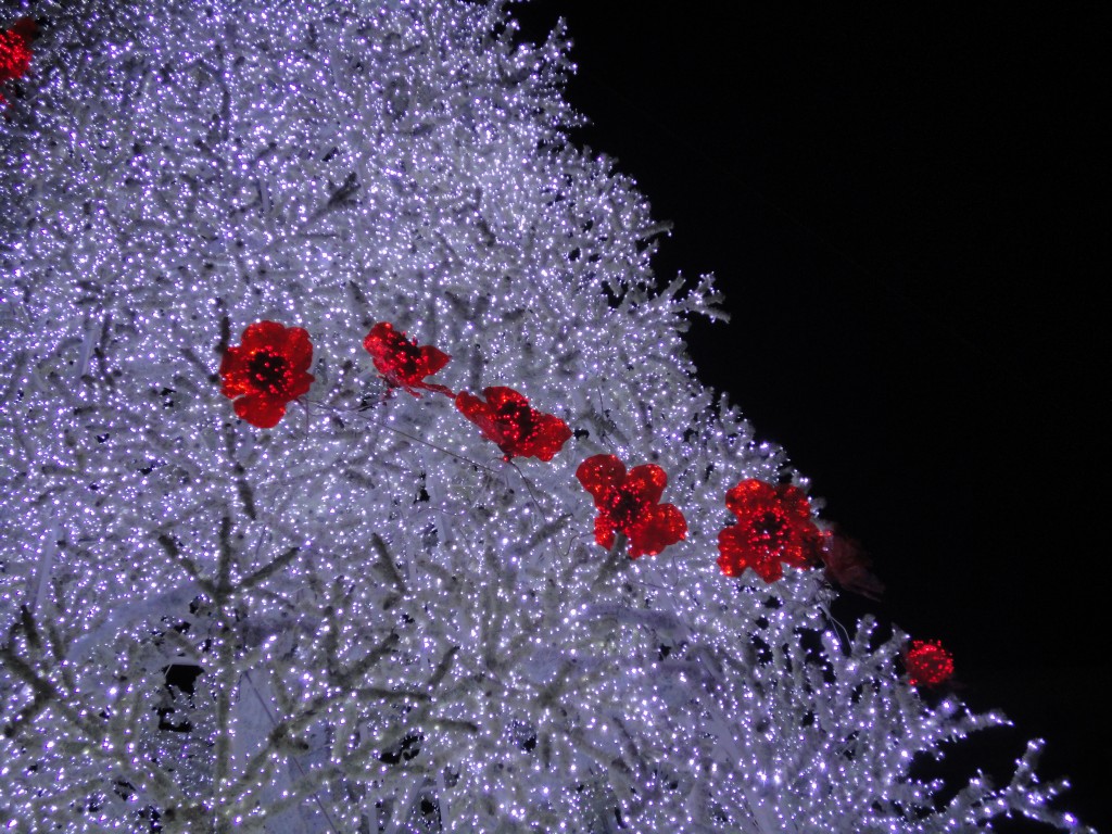 122
