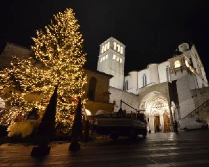 _DSC0007
