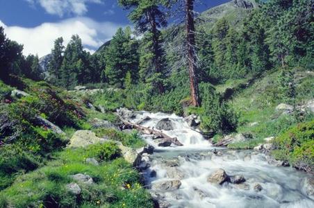 24521749_accor-wwf-check-out-for-nature-0