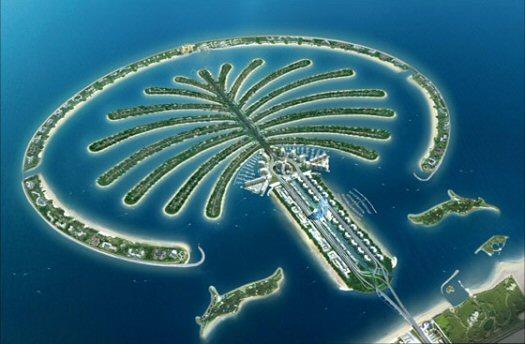 the-palm