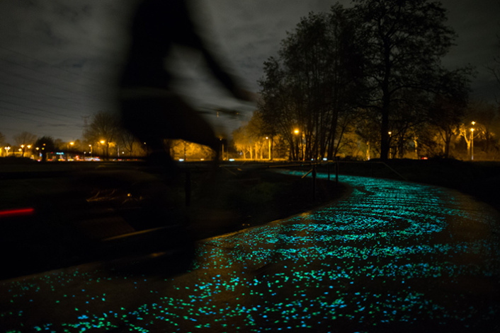 VanGoghRoosegaarde1-copy